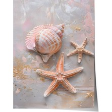Çerçevesiz Poster, Deniz Kabukları ve Yıldız, Banyo Dekoru Poster No: 112014