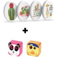 Desert Serisi 4 Silgi ve 2 Kalemtraş Seti, Öğrenci ve Çocuklar Için Renkli Tasarım