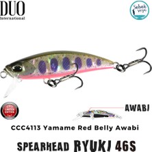 Duo Spearhead Ryuki 46S CCC4113 Yamame Kırmızı Belly Awabi Maket Balık