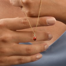 14 Ayar Altın Kaplama Minimal Uğur Böceği Gümüş Kolye - CNE00137