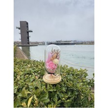 Pembe Gül Buketi Cam Fanus, Sevgililer ve Anneler Günü Için Özel Hediye