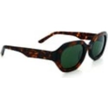 U.s Polo Güneş Gözlüğü USS0359 C2