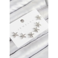 Clariss Pirinç Zirkon Taşlı Deniz Yıldızı Model Gümüş Renk 925 Ayar Gümüş Çivi Kadın Küpe Set