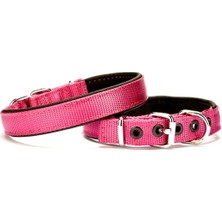 Softlu Köpek Boyun Tasması 1,5 cm x 35 cm Mor