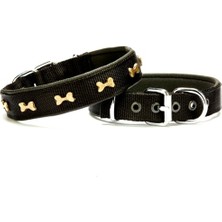 Softlu Kemik Desenli Köpek Tasması 2,5 cm x 50 cm Siyah