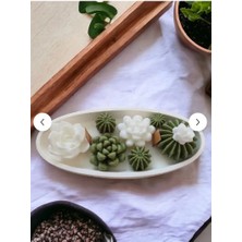 Saksıda Kaktüs Seti- 8’li Mini Dekoratif Sukulent, Hediyelik Mum Seti