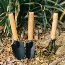 3 Parça Mini Tırmık ve Kürek Çiçek Bitki Fidan Dikim Çapalama Hobi Bakım Seti