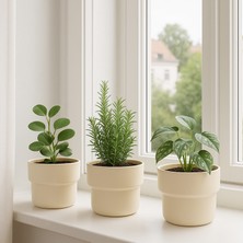 Homing Dekoratif Plastik Saksı 3 Adet Krem 11 cm SEH-4619