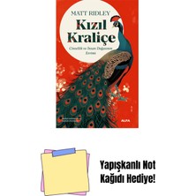 Kızıl Kraliçe + Yapışkanlı Not Kağıdı