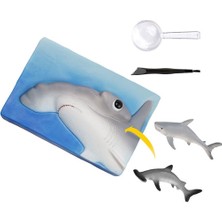 NAT07002 National Geographic Köpek Balığı Bulma Kiti - Trhamshdıg +6 Yaş