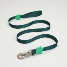 Lindodogs Brazil Gezdirme Tasması