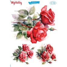 St 450 Gül Desenli Sulu Transfer 25X35