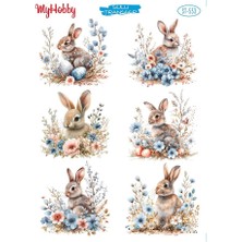 ST553 Paskalya, Easter, Tavşan Desenli Açık Zemin Sulu Transfer 25*35 cm