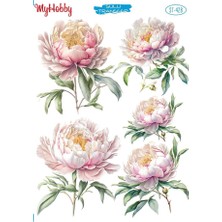 St 428 Pastel Tonlar Çiçek Desenli Sulu Transfer 25*35 cm
