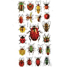 Sticker Kabartmalı Stiker Çıkartma Etiket (XHC084)-18X9 Cm- Renkli Böcekler