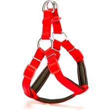 Köpek Göğüs Tasması 45CM Small