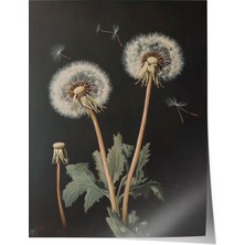 Çerçevesiz Poster, Karahindiba Çiçekleri – Minimalist Stil, Banyo Dekoru Poster No: 109105