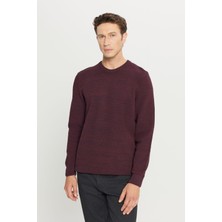 Altınyıldız Classics Erkek Bordo-lacivert Standart Fit Normal Kesim Bisiklet Yaka Desenli Triko Kazak