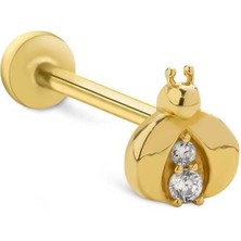 Uğur Böceği Tragus Piercing
