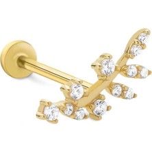 Taşlı Zeytin Dalı Tragus