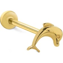 Yunus Tragus Piercing