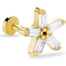 Baget Yıldız Tragus