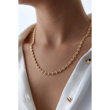 Deniz Kabuğu Zincir