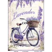 Lavanta Serisi LVNT61 Lavanta, Kadın Desen Pirinç Dekopaj 30X42