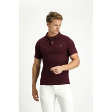 Polo Yaka Slim Fit Dar Kesim Nakışlı Pamuk Tişört