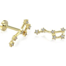 Büyük Ayı Motifli Tragus Piercing