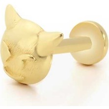 Evil Tragus Piercing