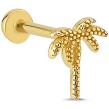 Işleme Detay Palmiye Model Tragus Piercing