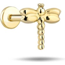 Yusufçuk Tragus Piercing