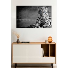 Vahşi Doğada Mavi Gözlü Jaguar Portresi Cam Tablo, Darbelere Dayanıklı Kırılmaz Cam, Hediyelik