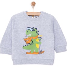 Hellobaby Basic Az Şardonlu Dinozor Desenli Sweatshirt Erkek Bebek