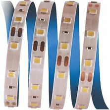 Cata Ct 4481 10 Çip Günışığı Iç Mekan Şerit LED 5m Aydınlatma