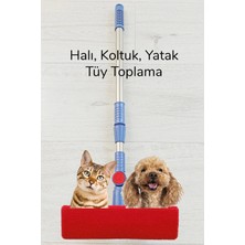 Kedi Köpek Sihirli Tüy Temizleme Fırçası 4 Ü 1 Arada Döner Başlıklı