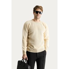 Bisiklet Yaka Slim Fit Dar Kesim Dikişsiz Desenli Yünlü Triko Kazak