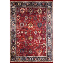 Hali.Net 200x300 cm Kırmızı Lacivert Bitkisel Vintage Geleneksel Halı | Salon Yatak Odası Halısı | Hav Vermez Hipoalerjenik | HALN-HLN898