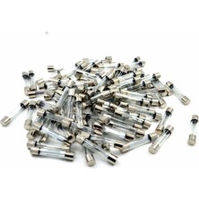 10A Cam Sigorta 5X20 - 100 Adet