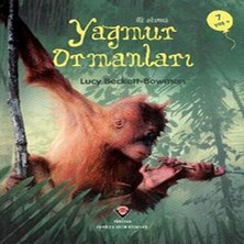 Ilk Okuma - Yağmur Ormanları