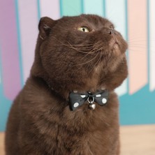 Şık ve Sevimli Papyonlu Zilli Ayarlanabilir Kedi Tasması (Renk Seçenekleriyle)