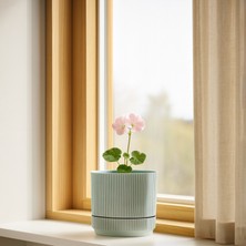 Homing Oval Soft Mavi Mini Saksı 242204