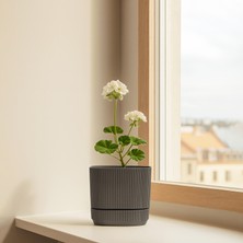 Homing Oval Koyu Gri Mini Saksı 242203