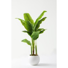 Yapay Ağaç Muz 160 cm 13 Dal Plastik Küre Saksı