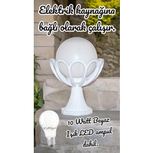 Beyaz Işık 10 W. LED Ampul Dahil Dekoratif Bahçe Duvar Aydınlatma Armatürü Set Üstü Dekoratif Aplik
