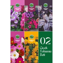 02 Çiçek Tohumu Seti 5'li Set