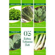 03 Sebze Tohum Seti 5'li Set