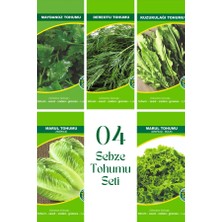 04 Sebze Tohum Seti 5'li Set