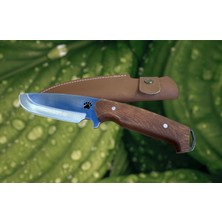 Ayı Pençesi Av Çakısı